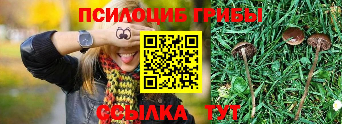наркота  Вход с VPN  Благодарный  Галлюциногенные грибы мицелий  Галлюциногенные грибы MAGIC MUSHROOMS 